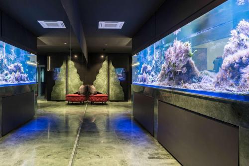a room with two large aquariums in it at Wellness Villa Biocrystal in Bakarac