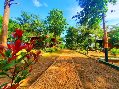 a dirt road with trees and a house in the background at Tree House 4 Nature Lovers in Udawalawe