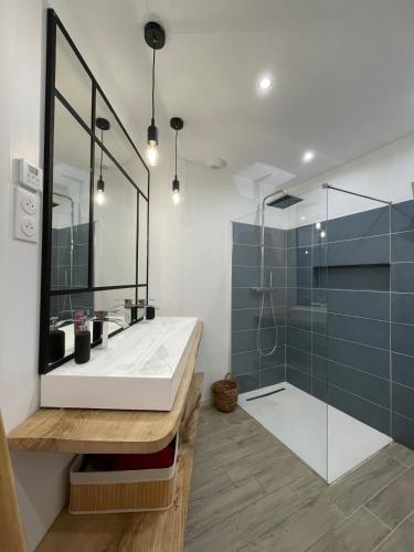 a bathroom with a sink and a shower at Bel appartement lumineux au cœur de Bayonne in Bayonne