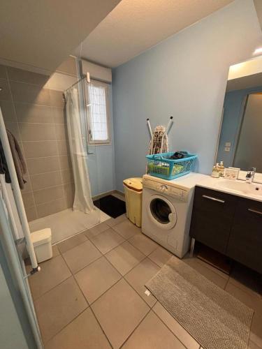 a bathroom with a washing machine and a shower at 2 bedrooms, air conditioning, garage, metro in Vaulx-en-Velin