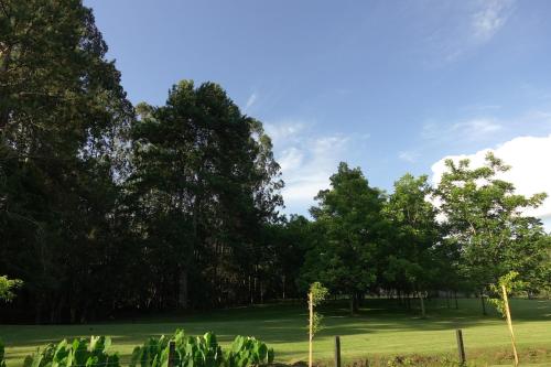 a group of trees on a green field at Chalé Caminhos do Salto Ventoso in Farroupilha