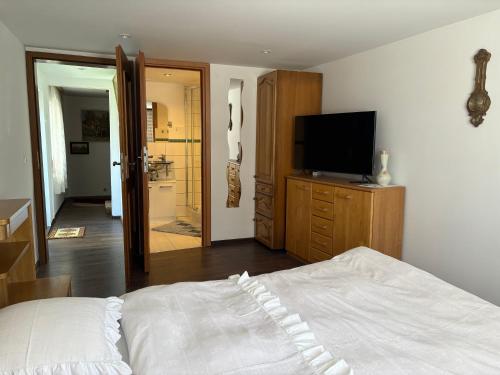 a bedroom with a bed and a flat screen tv at Villa EDEN BLICK in Edenkoben