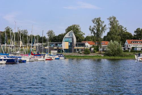 a group of boats are docked in a marina at ADAC Segel Traumblick auf den See in Möhnesee
