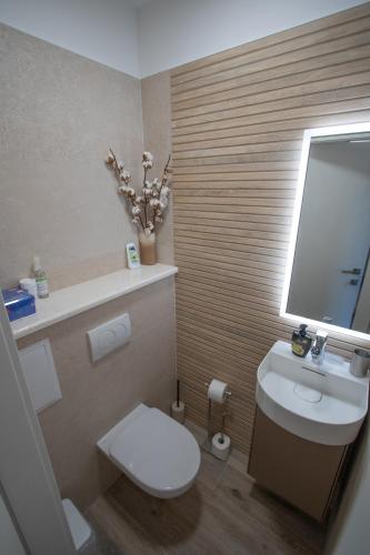 Koupelna v ubytování Apartment Spinut