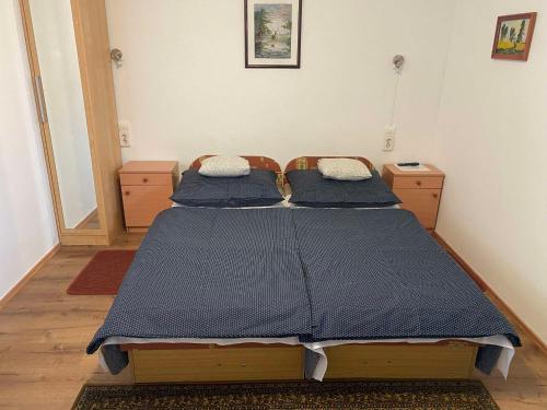 a bedroom with two beds with blue pillows on them at Eszter Vendégház Harta in Harta