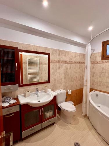 a bathroom with a toilet and a sink and a tub at Golden Sunset Villa Skiathos in Skiathos Town