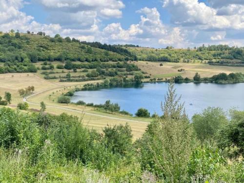 a lake in the middle of a field with trees at Romantic Eifel Hideaway in Immerath