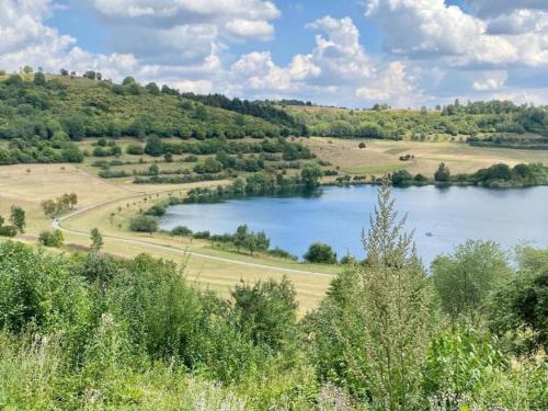 a view of a river from a hill with trees at Romantic Eifel Hideaway in Immerath
