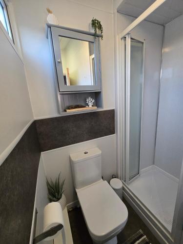 a small bathroom with a toilet and a mirror at Welsh Bayview Retreat 2-Bed Lodge at Clarach Bay Holiday Village in Aberystwyth