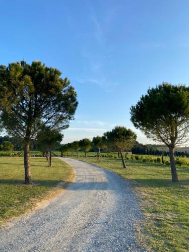 a dirt road with trees on the side of a field at Échappée Vigneronne in Pennautier