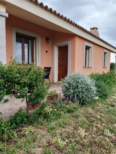 Κήπος έξω από το Gli Olivastri con piscina,solarium, vista mare ,sole -mare e tanta natura ,climatizzatore,wifi