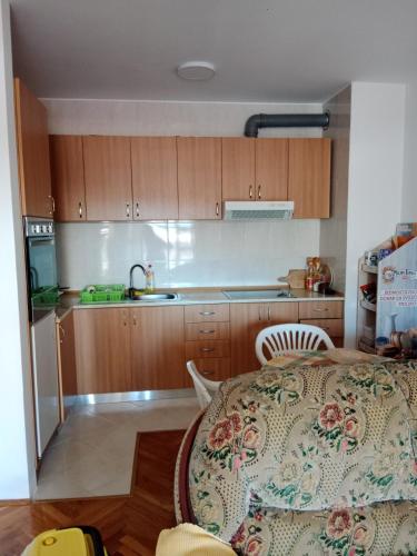 Η κουζίνα ή μικρή κουζίνα στο Apartman centar Bar