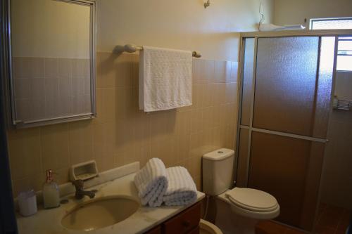 a bathroom with a toilet and a sink and a shower at Recanto Nonna Lourdes, Casa no Vale dos Vinhedos com Café da Manhã Colonial Incluso in Bento Gonçalves