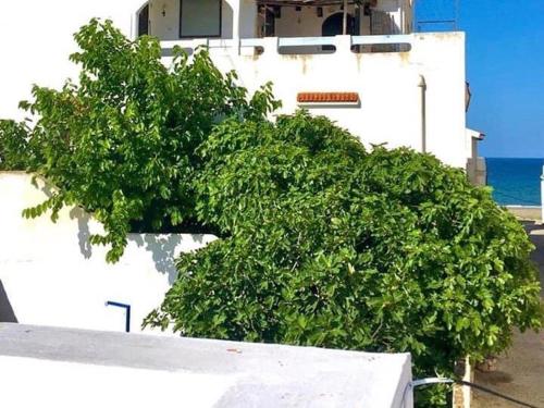 Gallery image of منزل حوالي 50متر من البحر in Oued Laou