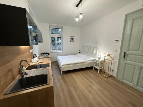 una camera con letto e una cucina con lavandino di Vila Fráňa apartmán 2 a České Budějovice