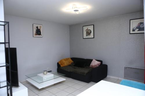 Appartement T2 Confortable à Lyon