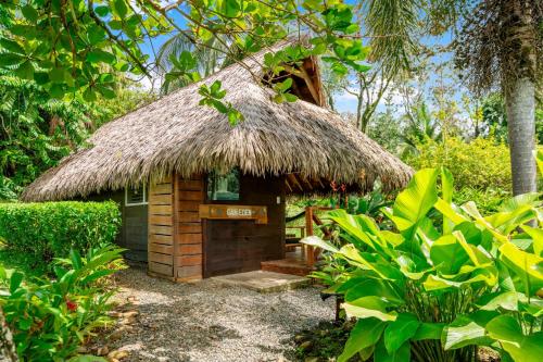 Central Hotel Bocas del Toroにある庭
