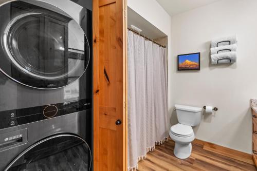 a bathroom with a toilet and a washer and dryer at THE CLYDE - Your Cozy & Luxurious Mt Hood Retreat in Government Camp