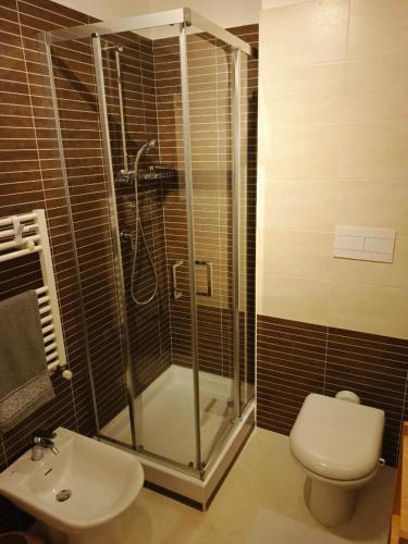 a bathroom with a shower and a toilet and a sink at Daniela Luxury Apartment in Rome