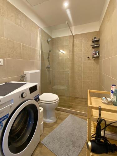 a washing machine in a bathroom with a toilet at Három Piszke Vendégház in Mátraszőlős