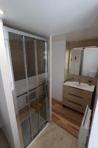 une salle de bain avec douche et lavabo dans l'établissement La case à nous - Entrevennes, à Entrevennes