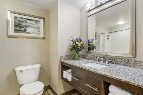 a bathroom with a toilet and a sink and a mirror at Best Western Plus River Escape Sylva / Dillsboro in Dillsboro