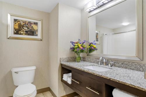 a bathroom with a toilet and a sink and a mirror at Best Western Plus River Escape Sylva / Dillsboro in Dillsboro