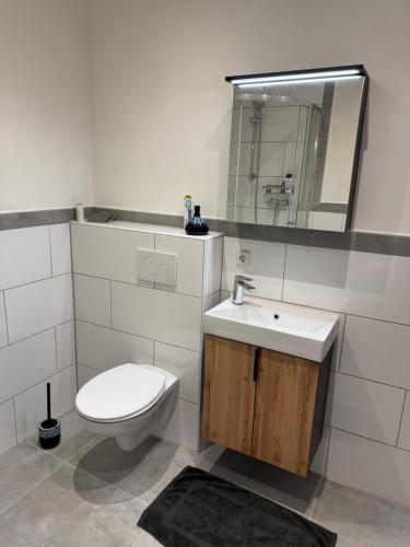 a bathroom with a toilet and a sink and a mirror at Privatzimmer in 4 Zimmer EG Wohnung in Altchemnitz in Chemnitz