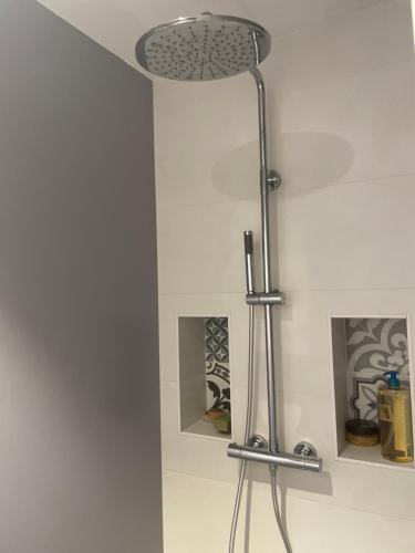 une douche dans une salle de bain avec une pomme de douche dans l'établissement country house with pool, à La Chapelle-Blanche