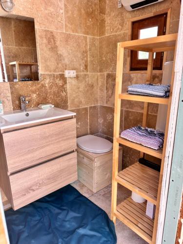 une petite salle de bain avec un lavabo et des toilettes dans l'établissement BULLE INSOLITE ATTRAPE REVE, à Thoard