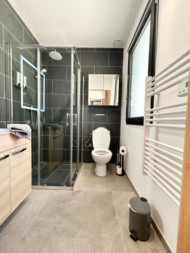 une salle de bain avec toilettes et douche en verre dans l'établissement LA Conciergerie 05 Villa Kylsha Rosans WiFi Terrasse Confort, à Rosans