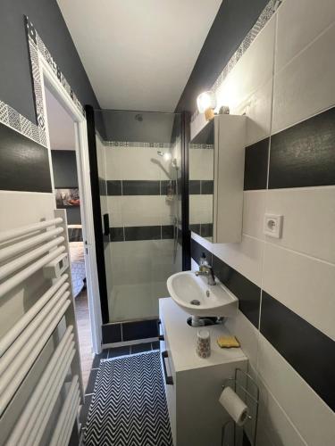 une petite salle de bain avec un lavabo et une douche dans l'établissement My little cocon, à Aubière