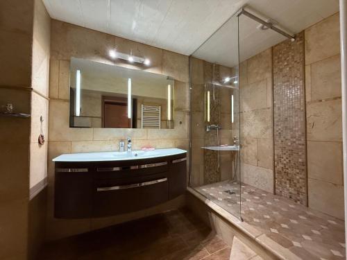 une salle de bain avec un lavabo et une douche dans l'établissement New Auriol Apartment, à Auriol