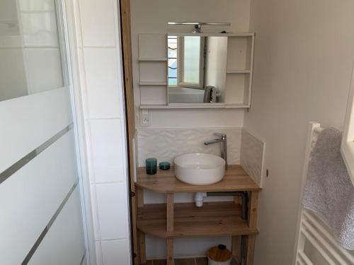 une salle de bain avec un lavabo et un miroir dans l'établissement Maison de plein pied avec jardin, à Poitiers