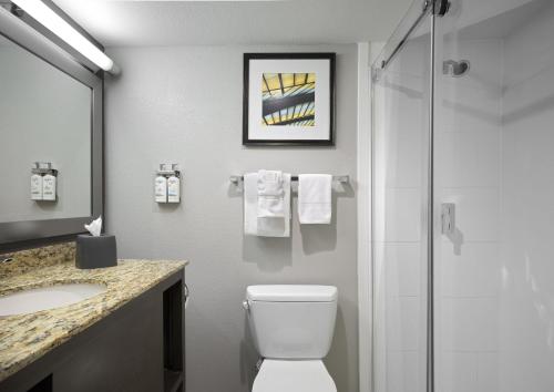 a bathroom with a toilet and a sink and a shower at Holiday Inn St Louis SW - Route 66 by IHG in Saint Louis