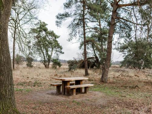 a wooden picnic table in a field with trees at Holiday Home in Leende with Hot Tub & Garden in Leende