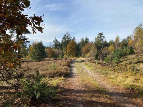a dirt road in the middle of a field at Cottage in Leenderbos near Nature Reserve in Leende