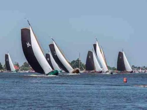 a group of sailboats in the water on the water at Villa by Tjeukemeer with Private Jetty in Delfstrahuizen