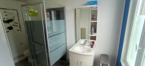 a small bathroom with a sink and a shower at Chez Alex' guesthouse in Dozulé