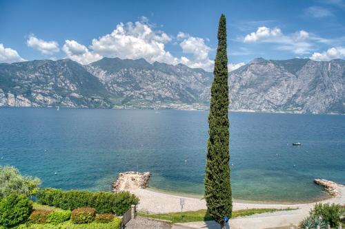a tall tree in front of a body of water at Villa Andreis in Malcesine