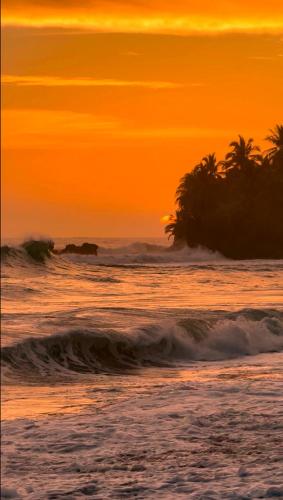 a sunset over a beach with waves and palm trees at Toucan Hill Lodge in Bocas del Toro