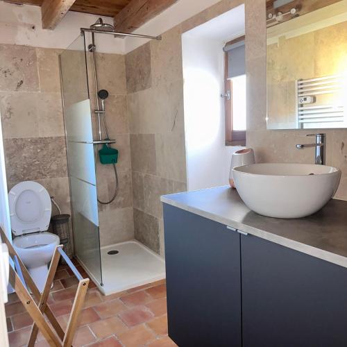 une salle de bain avec un lavabo, des toilettes et une douche dans l'établissement Appartement à la ferme, à Thoard