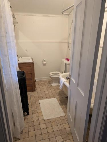 a bathroom with a toilet and a sink at Luxury at the 1912 Sharp Mansion in Colorado Springs