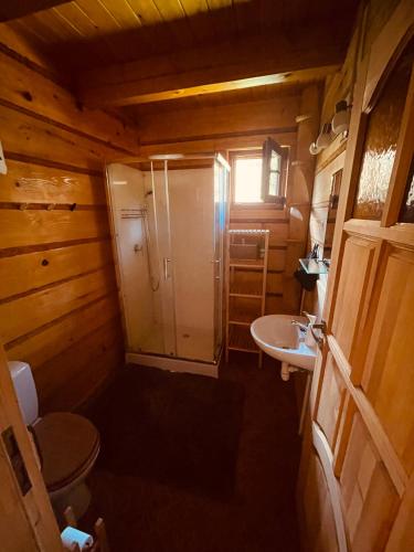 a small bathroom with a toilet and a sink at Szmer Soliny in Werlas