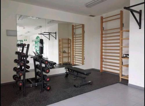 Zimmer mit einem Fitnessraum mit einem Spiegel und Gewichten in der Unterkunft Modern apartment Near city center, Airport, Metro in Madrid
