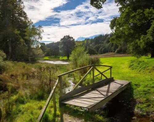 a wooden bridge over a river in a field at 5 lochview in Beattock