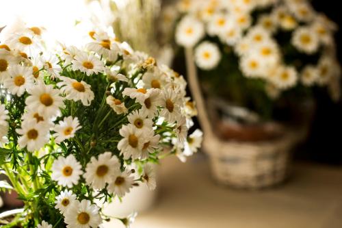 a bunch of white flowers in a vase on a table at Sotto Il Cielo Hotel in Pignola