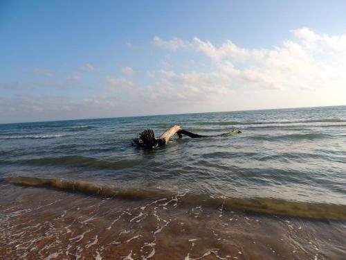 Φυσικό τοπίο κοντά σε αυτή η βίλα