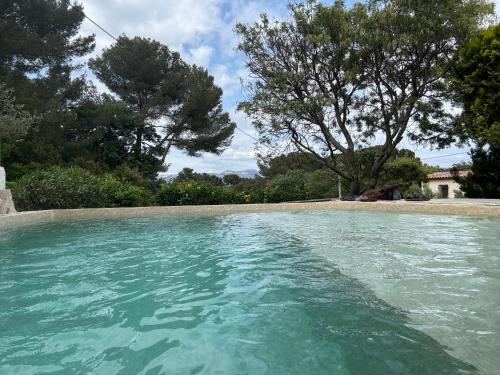 un bassin d'eau bleue avec des arbres en arrière-plan dans l'établissement Hibiscus, à La Seyne-sur-Mer
