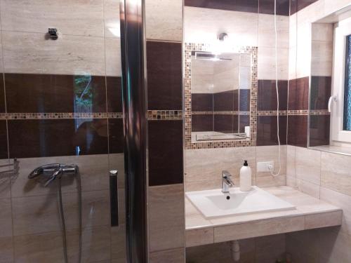 a bathroom with a sink and a shower at Leśne Zacisze in Wünschelburg